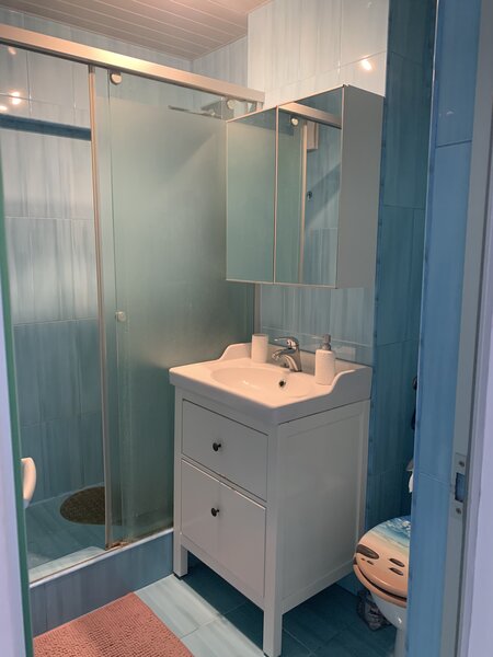 Oltenita, zona centrala Calarasi